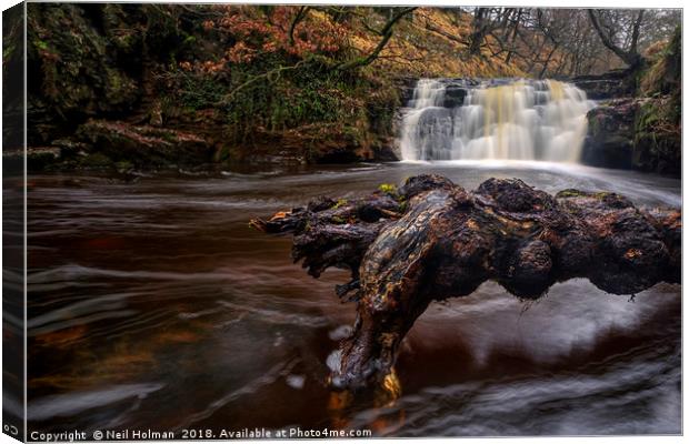 Scwd Tarddiant Waterfall, Brecon Beacons  Canvas Print by Neil Holman
