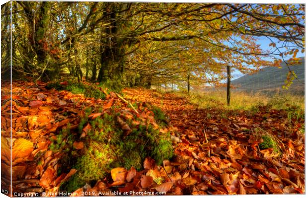 Autumn Colours in the Brecon Beacons Canvas Print by Neil Holman