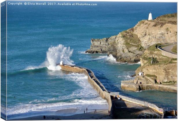 Portreath Harbour, Cornwall Canvas Print by Elvia Worrall