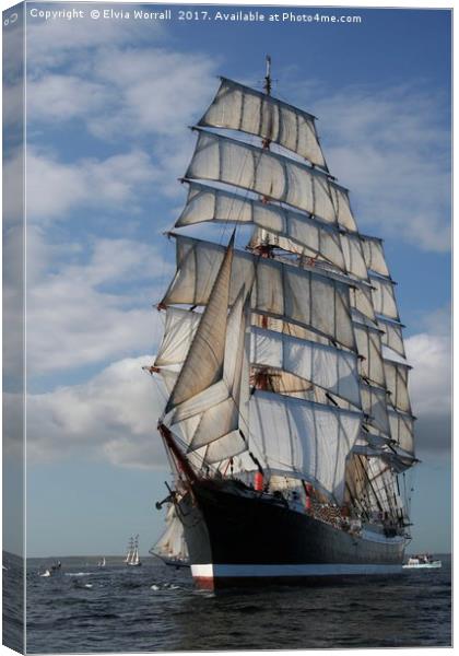 Russian Tall Ship STS Sedov Falmouth Race 2008 Canvas Print by Elvia Worrall
