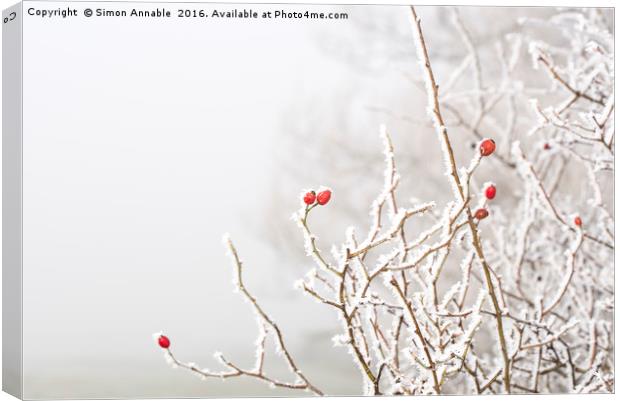 Winter Berries Canvas Print by Simon Annable