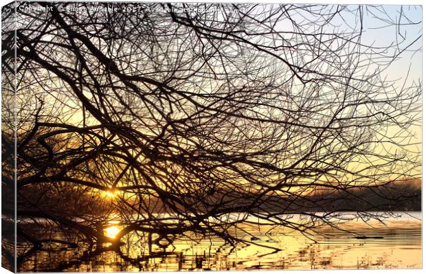 Winter Sunset Canvas Print by Simon Annable