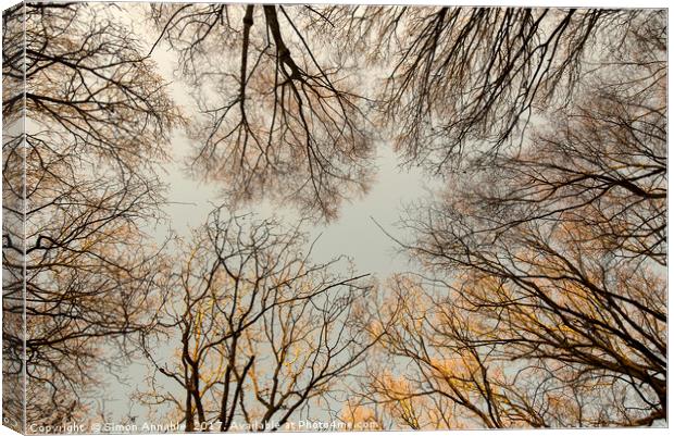 Bare Tree Canopy Canvas Print by Simon Annable