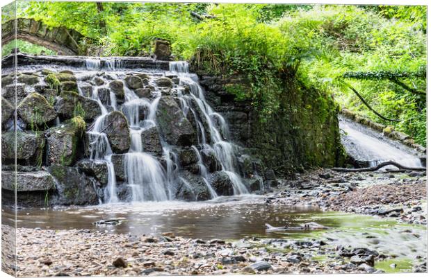 Sunnyview woods Darwen Canvas Print by Caroline James