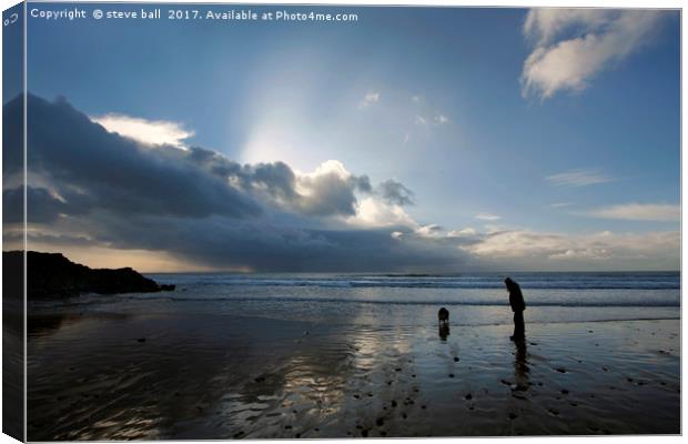 Dog walking on Caswell beach in winter Canvas Print by steve ball