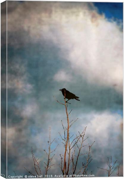 Crow Tree Canvas Print by steve ball