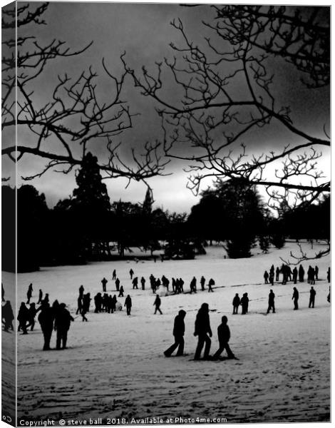Winter park Canvas Print by steve ball