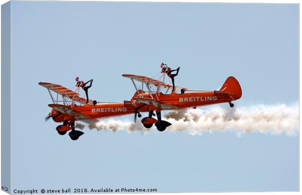 Wing walkers  Canvas Print by steve ball