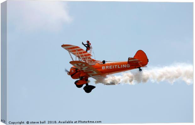 Wing walker Canvas Print by steve ball