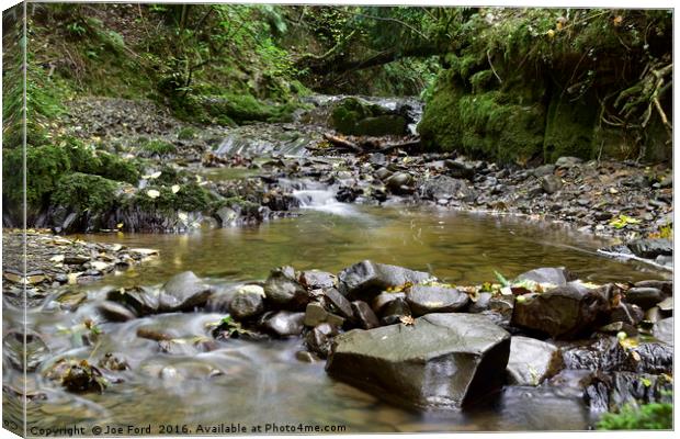 Stream in the woods Canvas Print by Joe Ford