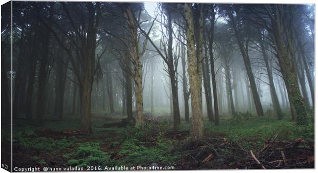 Forest with mist in a Natural Park Canvas Print by nuno valadas