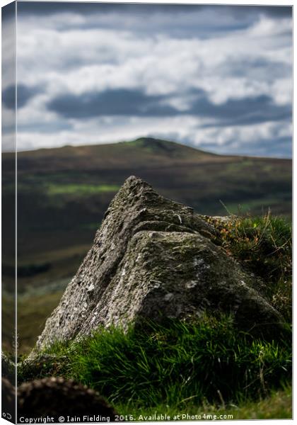 Granite View Canvas Print by Iain Fielding