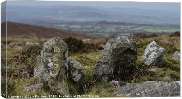 Dartmoor Stone Canvas Print by Iain Fielding