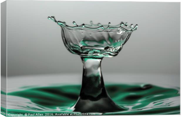 water drop like a cut glass bowl Canvas Print by Paul Allen