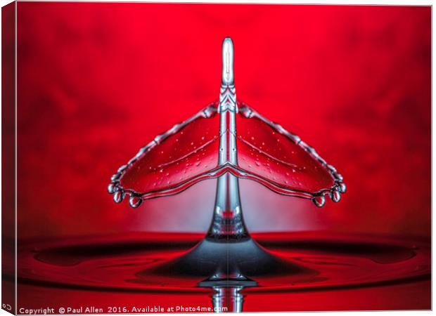 a mirrored image of a water drop collision Canvas Print by Paul Allen