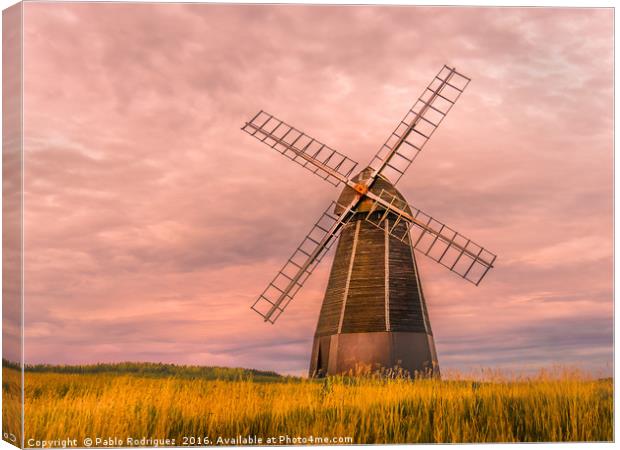 Rottingdean Windmill  Canvas Print by Pablo Rodriguez