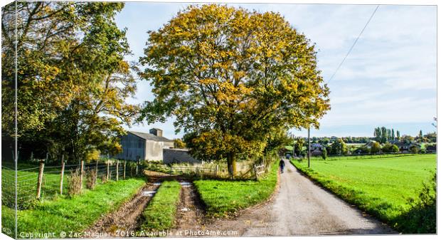 Walking Home Canvas Print by Zac Magner