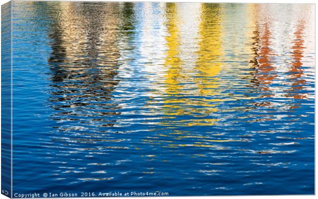 Reflecting (1) Canvas Print by Ian Gibson