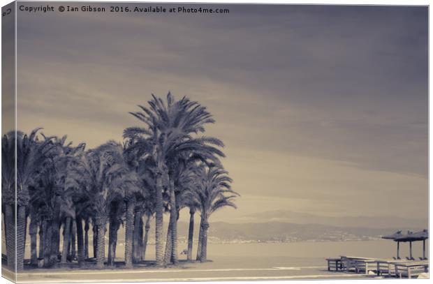 Palm trees on the shore in Torremolinos, Spain Canvas Print by Ian Gibson