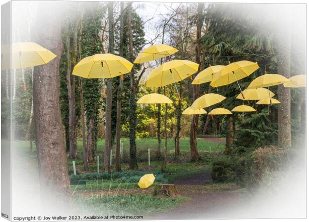Hanging umbrellas Canvas Print by Joy Walker