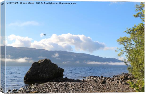 Fighter jet over Loch Ness Canvas Print by Sue Wood