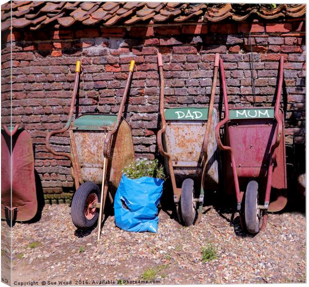 Wheelbarrow for DAD and MUM Canvas Print by Sue Wood