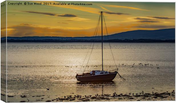 Port Carlisle sunrise, sail boat at anchor. Canvas Print by Sue Wood