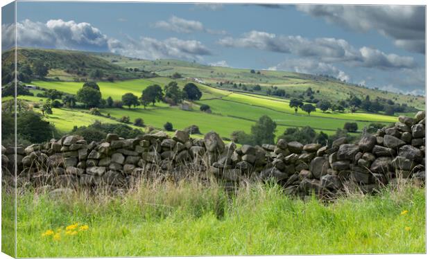 Yorkshire Countryside.  Canvas Print by Ros Crosland