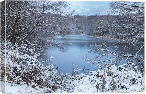 A winter scene in Yorkshire.  Canvas Print by Ros Crosland