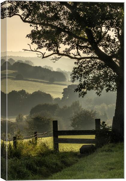 Early morning mist in Yorkshire countryside.  Canvas Print by Ros Crosland
