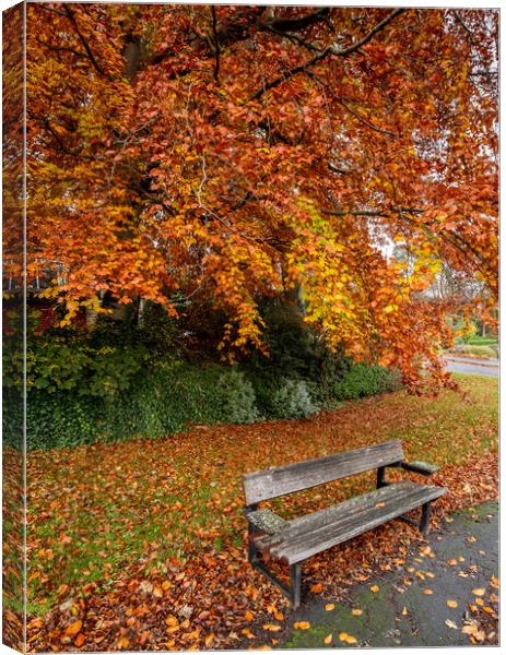 Autumn Glory Canvas Print by Ros Crosland