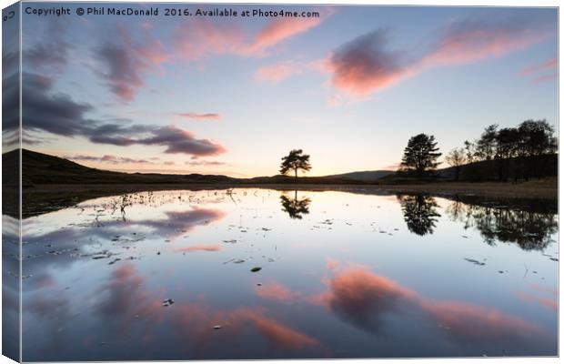 Mirror Image, Kelly Hall Tarn Reflections Canvas Print by Phil MacDonald