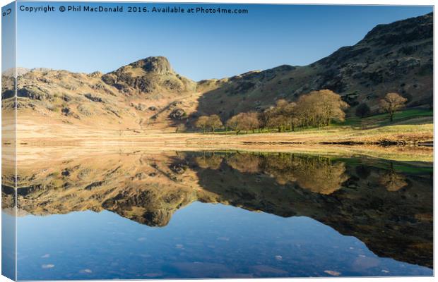 Mirror Image, Blea Tarn at Dawn Canvas Print by Phil MacDonald