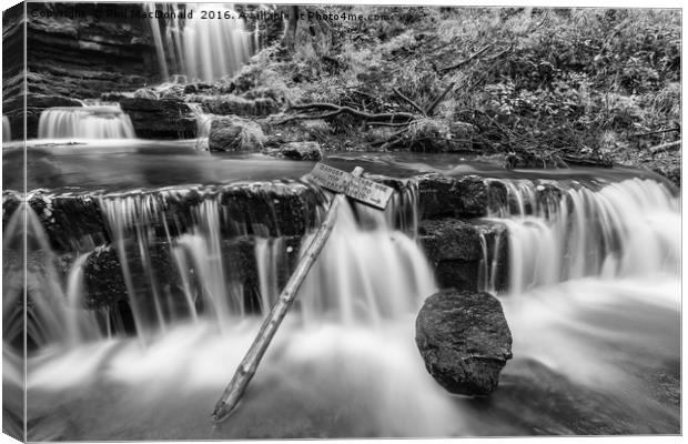 Scaleber Force Waterfall in Autumn (B&W) Canvas Print by Phil MacDonald