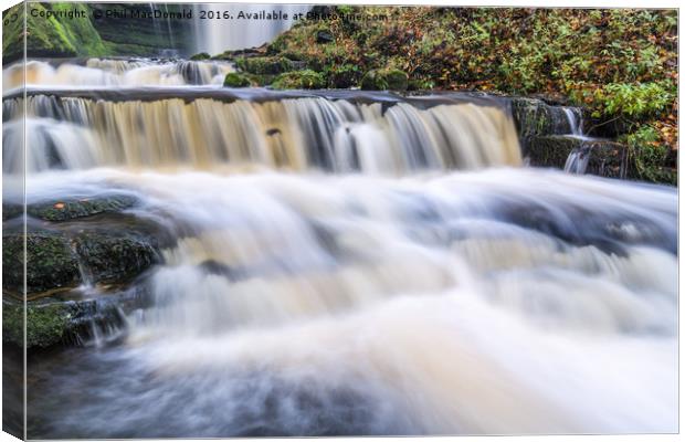Scaleber Force Waterfall in Autumn in full flow Canvas Print by Phil MacDonald