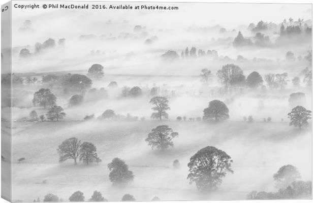 Knitting Fog, Latrigg in the UK Lake District (B&W Canvas Print by Phil MacDonald