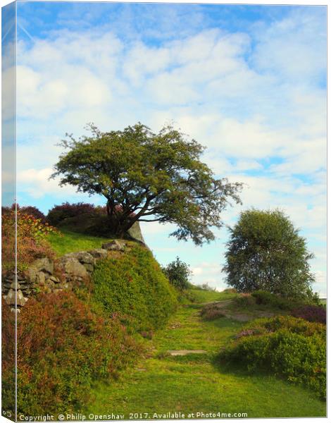 beautiful grassy pathway at the top of a hill in c Canvas Print by Philip Openshaw