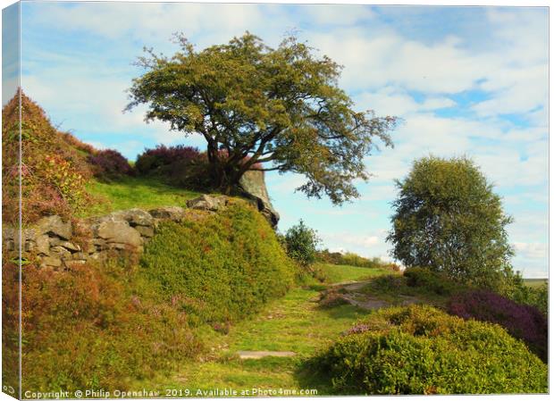 high moorland grass path in yorkshire with heather Canvas Print by Philip Openshaw
