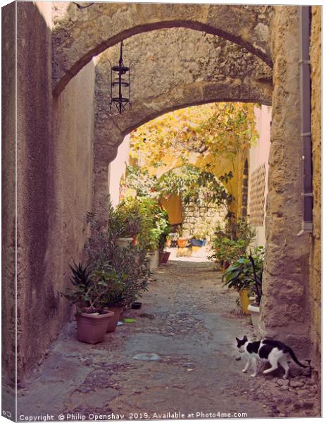 Alleycat - Rhodes Town Canvas Print by Philip Openshaw