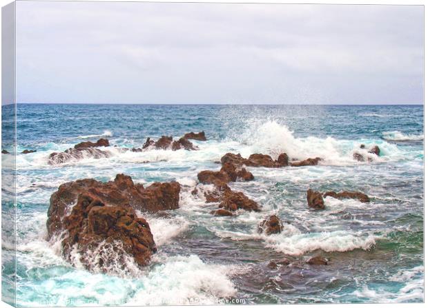 rocks and white waves Canvas Print by Philip Openshaw