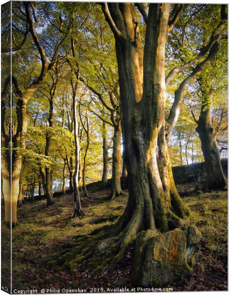 millstone hillside Canvas Print by Philip Openshaw