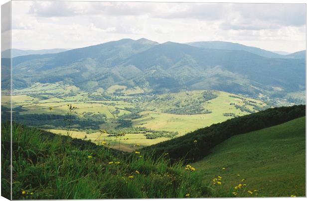 Carpatian Mountains 3 Canvas Print by Anton Popov