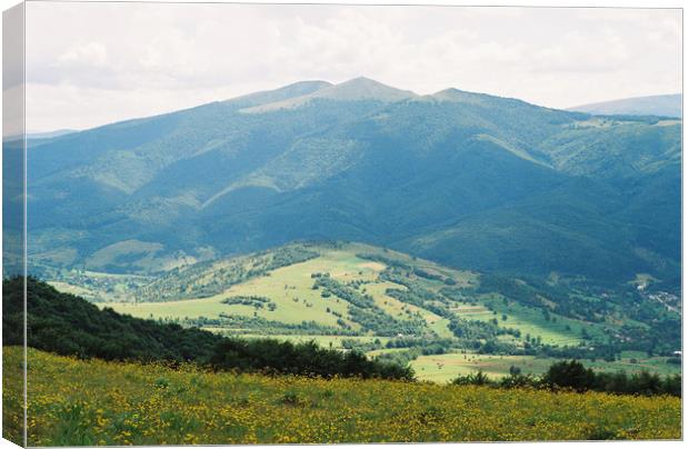 Carpathian landscape with flowers Canvas Print by Anton Popov