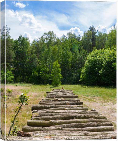 Pile of wooden logs in the sun Canvas Print by Paweł Radomski