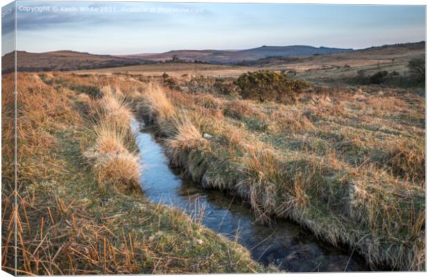 Little stream on Dartmoor Canvas Print by Kevin White