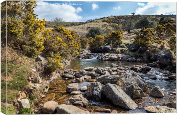 Rich colours of Dartmoor Canvas Print by Kevin White