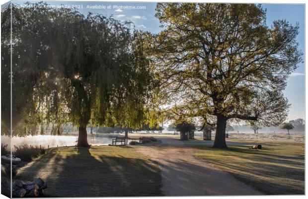 Morning shadows Canvas Print by Kevin White