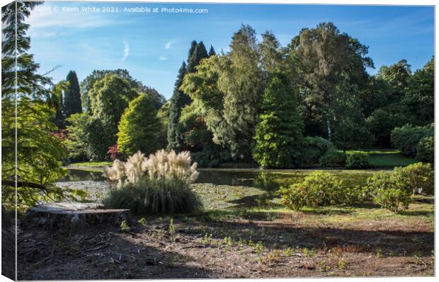 Trees and flora of Sheffield Park Canvas Print by Kevin White