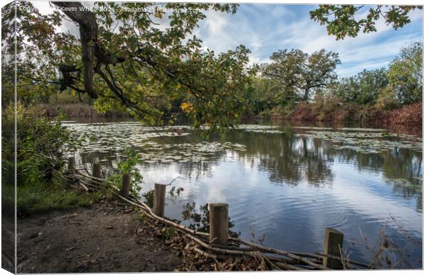 Sheepwash Pond in autumn Canvas Print by Kevin White