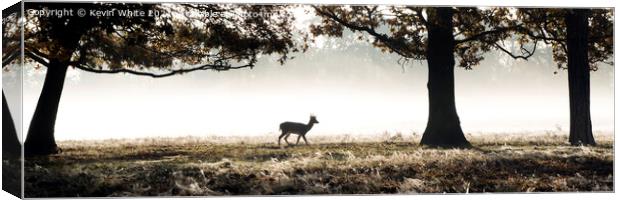 Silhouette Lone deer in morning mist Canvas Print by Kevin White
